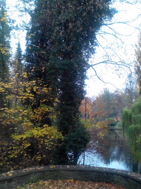 2015-11-06 13.35.34