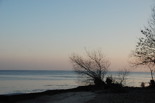 DSC 5316