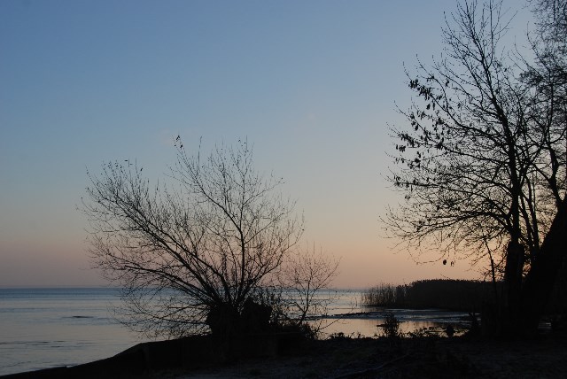 DSC 5318