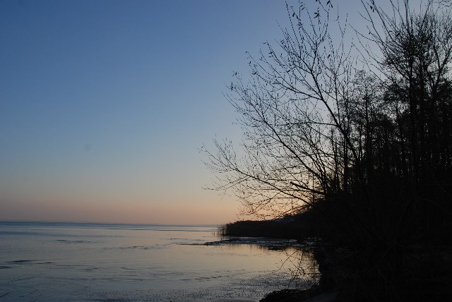 DSC 5319