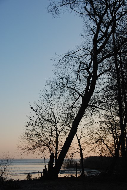 DSC 5326