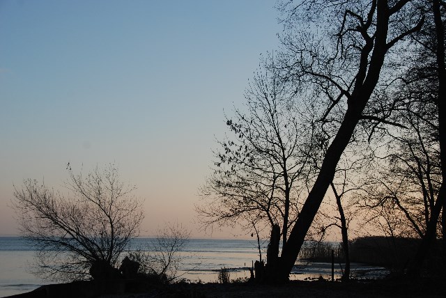 DSC 5327