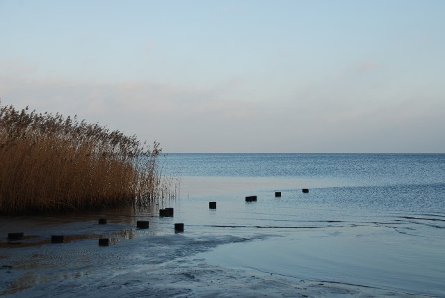 DSC 5331
