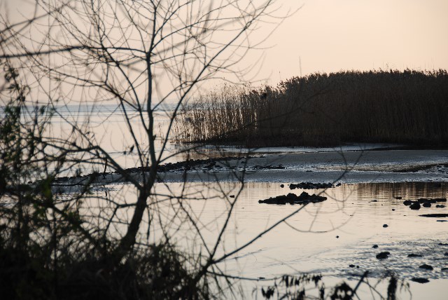 DSC 5332