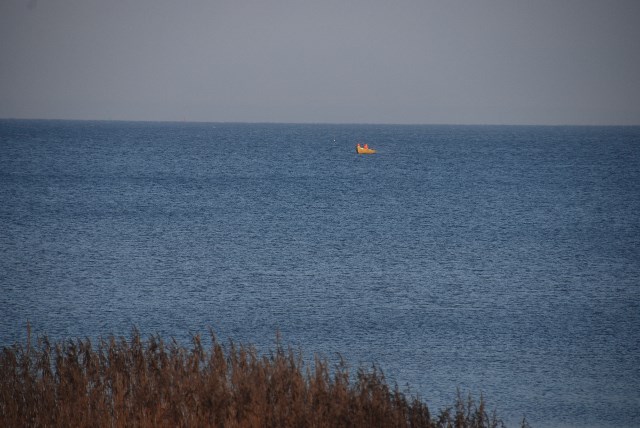 DSC 5344