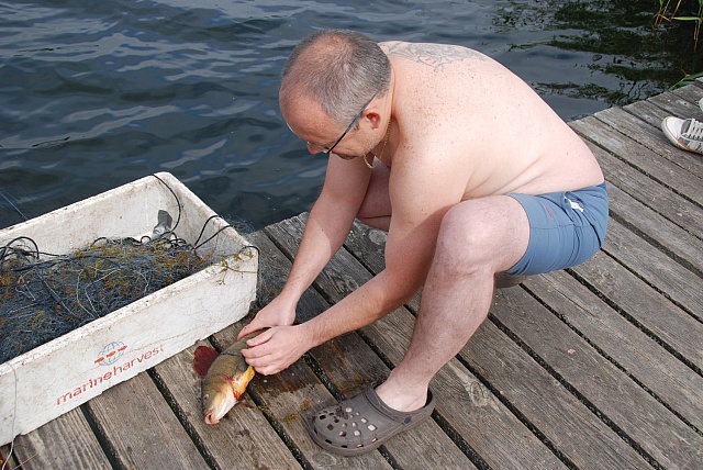 DSC 0051