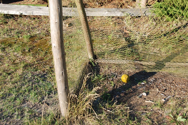 DSC 0369