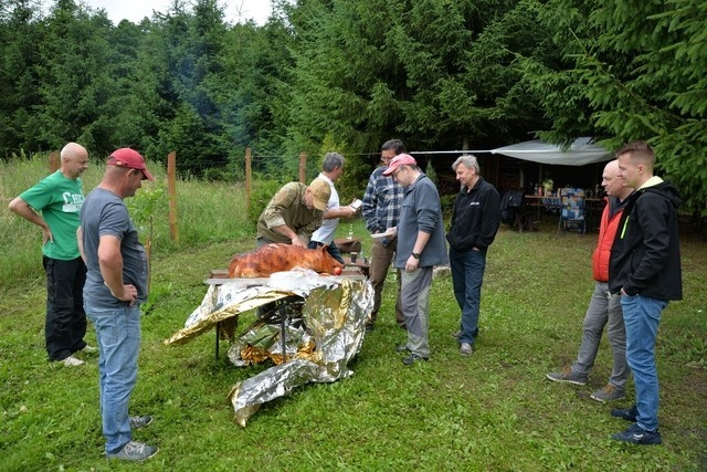DSC 2011