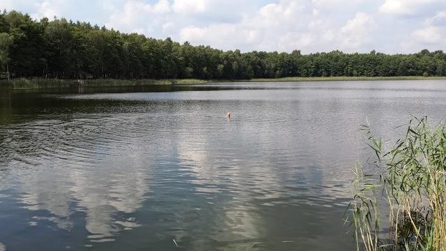 20140726 124532