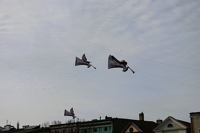 DSC05531