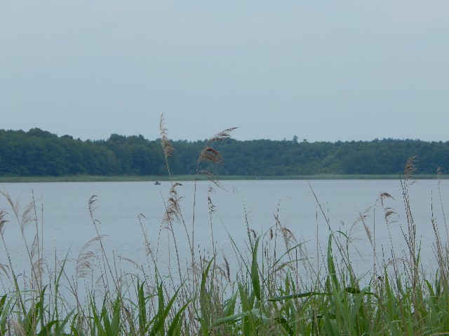DSCN2889