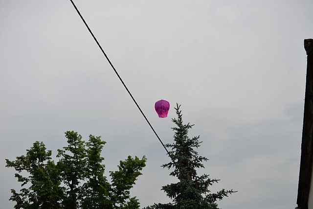 DSC 4586
