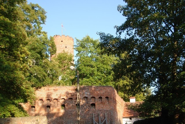 DSC 2504