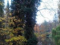 2015-11-06 13.35.34