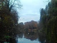2015-11-06 13.39.00