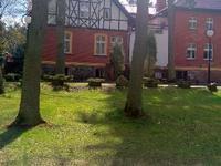 Borowiec kwiecień 2016