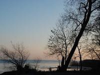 DSC 5327