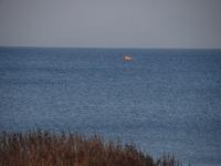 DSC 5344