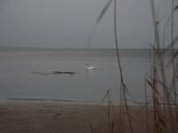DSC 5379
