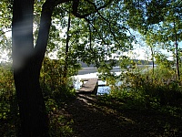 DSC 1907