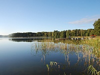DSC 1910