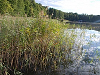 DSC 1912