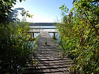 DSC 1916