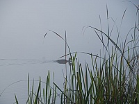 DSC 4359