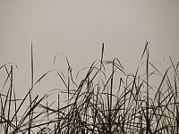 DSC 4360