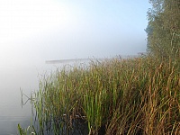 DSC 4363