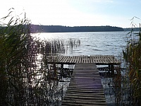 L1190626
