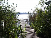 L1190629