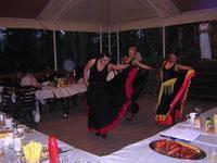 DSCN5986