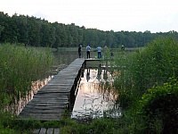 DSC 0005