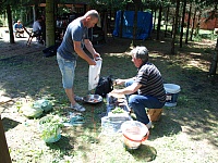 DSC 0180