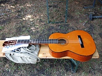 DSC 0225