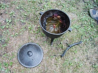 DSC 0256