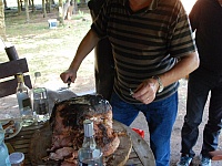 DSC 0284