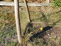 DSC 0369