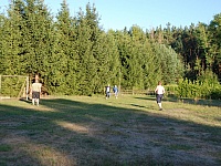 DSC 0391