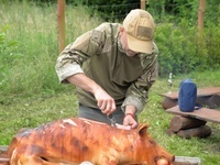 DSC 2010
