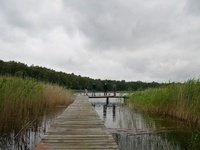 DSC 2079