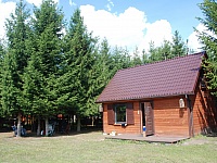 DSC 2913