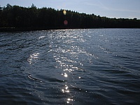 DSC 2955