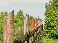 DSC 6139