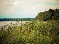 DSC 6179