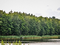 DSC 6189