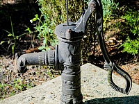 DSC 6297
