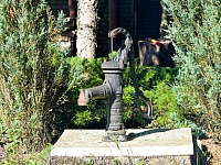 DSC 6374