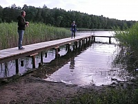 L1190333